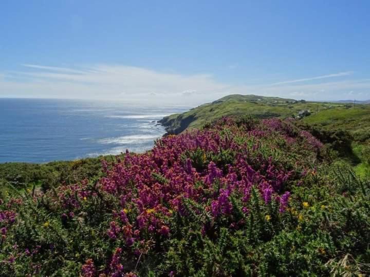 Escape To The Beara Peninsula. Apartment Castletownbere Exterior photo